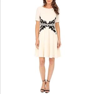 Adrianna Papell Appliqué Fit and Flare Dress in Cream / Black (Size 12)